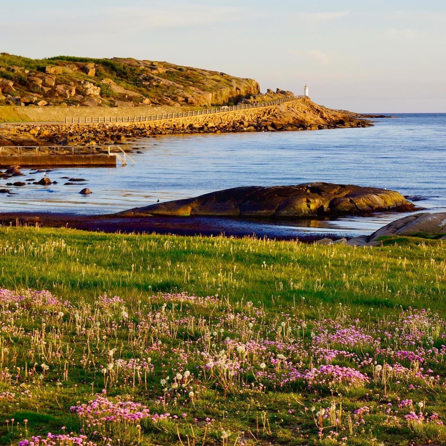 Bed and Breakfast Faestningens à Varberg Extérieur photo